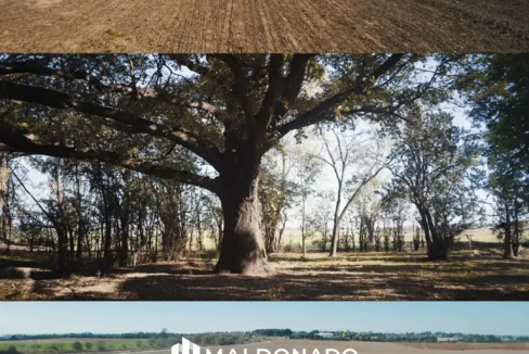 VENTA TERRENOS DESDE 540m² | AYRES DE LA ANTONIA | Propiedades Inmobiliaria Maldonado