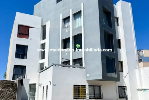 ALQUILER DPTO 1DOR | ZONA MACROCENTRO | Propiedades Inmobiliaria Maldonado