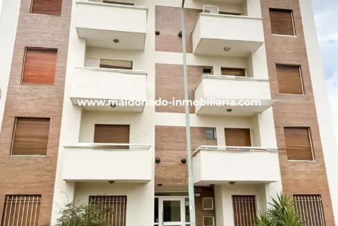 DPTO 1DOR EN ALQUILER | ZONA MACROCENTRO | Propiedades Inmobiliaria Maldonado